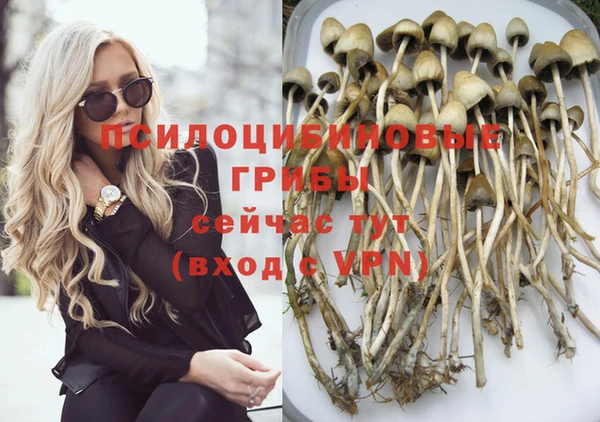 спиды Заводоуковск