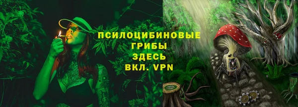 спиды Заводоуковск