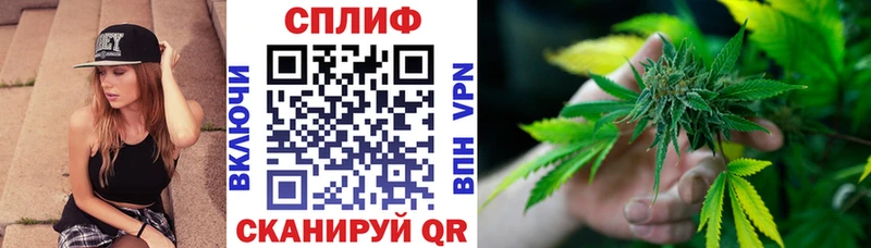 Марихуана сатива Калтан